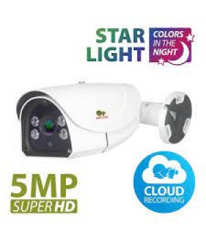 IPO-VF5RP Starlight v1.0 Cloud