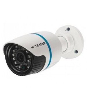 Видеокамера Tecsar IPW-1.3M-20F-poe