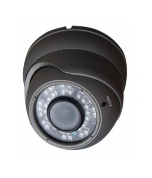 Видеокамера Light Vision VLC-4192DFT