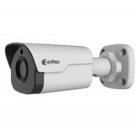 IP видеокамера Zetpro ZIP-2124SR3-DPF36
