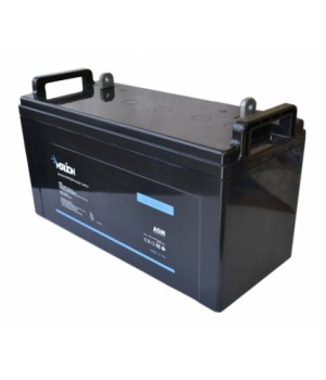 Аккумуляторная батарея Merlion AGM 12 V 100 Ah