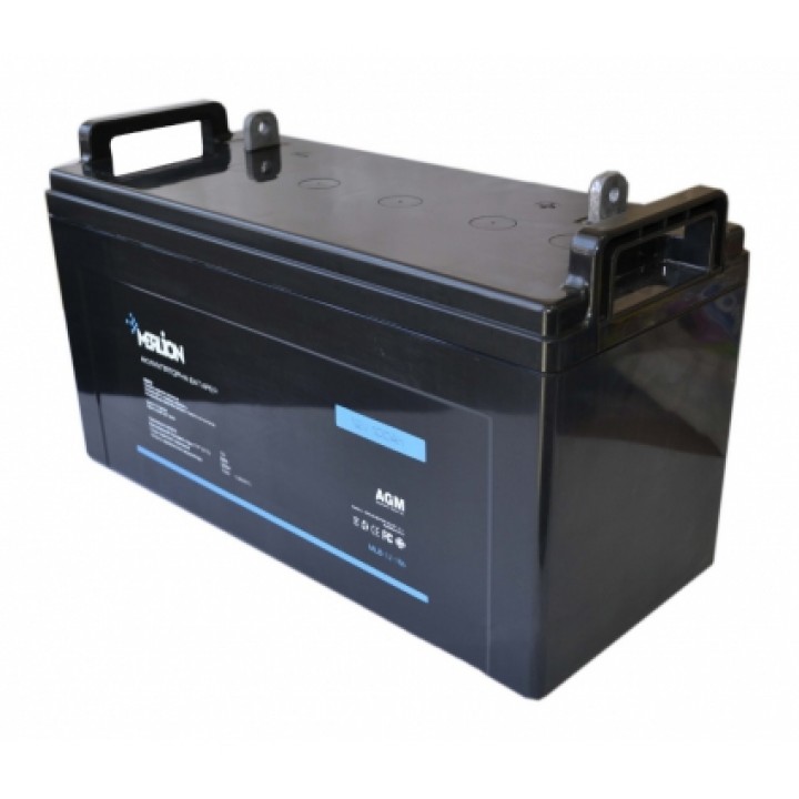 Аккумуляторная батарея Merlion AGM 12 V 100 Ah