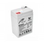 Аккумуляторная батарея Ritar RT640 (6V 4 Ah)