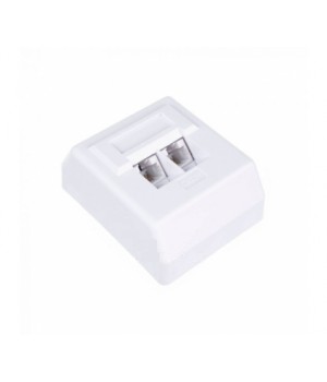W&T розетка наружная WT-2071 UTP RJ-45 2-порт