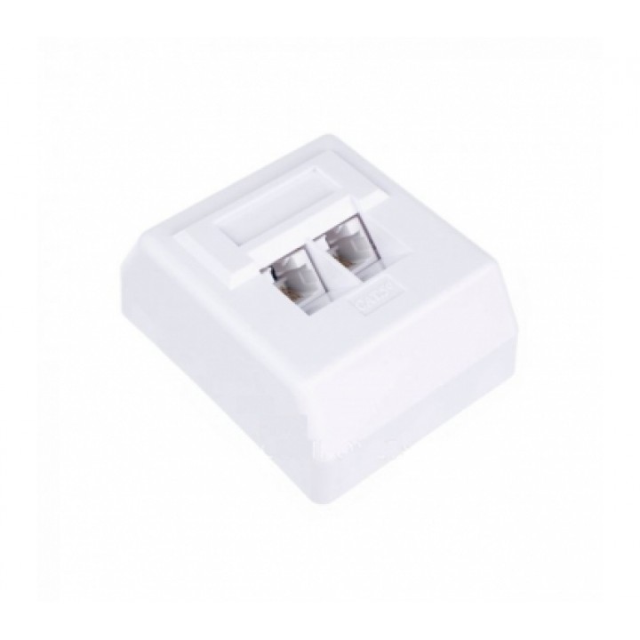 W&T розетка наружная WT-2071 UTP RJ-45 2-порт