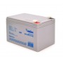 Аккумуляторная батарея Merlion AGM GP12120F2
