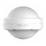 Вулична всеспрямована точка доступу Wi-Fi 6 Ruijie Reyee RG-RAP6262(G)