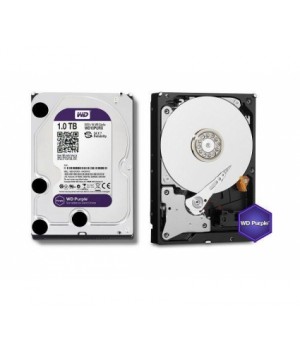 Жорсткий диск Western Digital WD10PURU-78