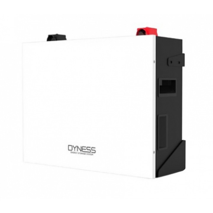 Акумуляторна батарея Dyness DL5.0C 51,2V 100Ah