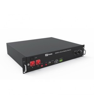 Акумуляторна батарея Dyness B4850G 48V 50Ah