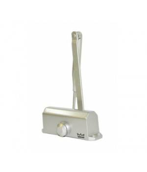 Дверний дотягувач Dorma TS77 EN3 silver